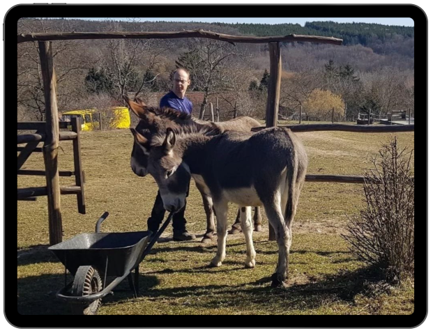 Daddy Donkey