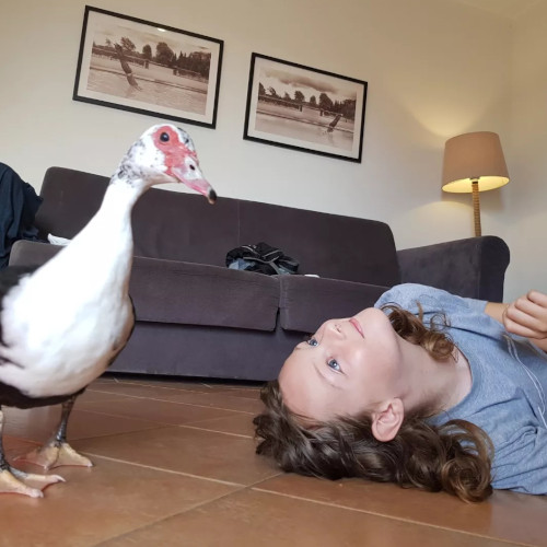 Tyler and a duck